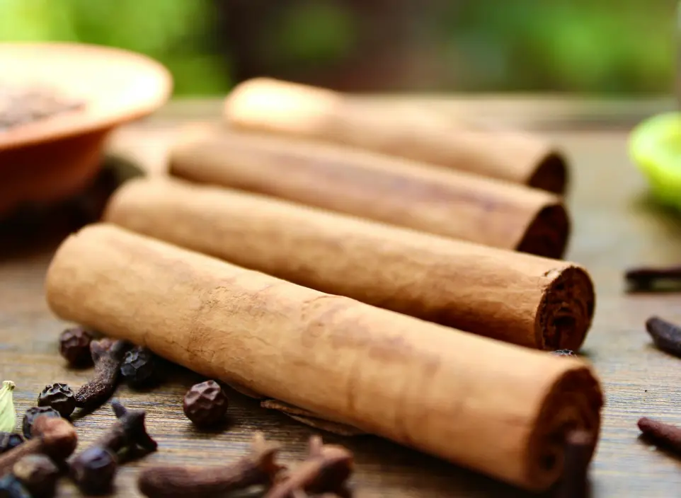Cinnamon Oleoresin