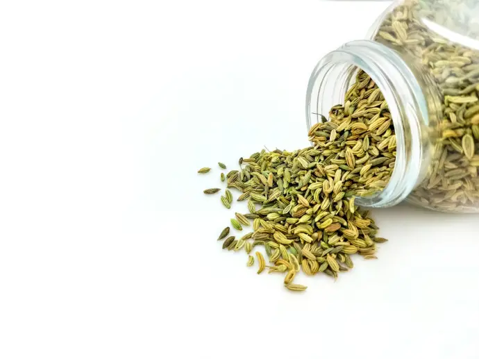 Fennel Oil