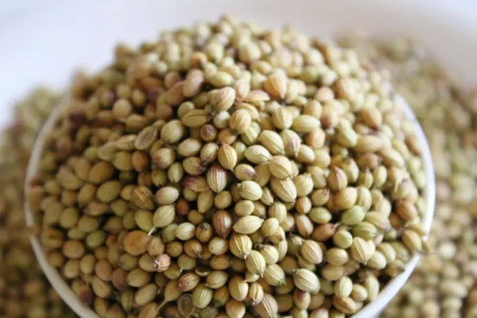 Coriander Oleoresins