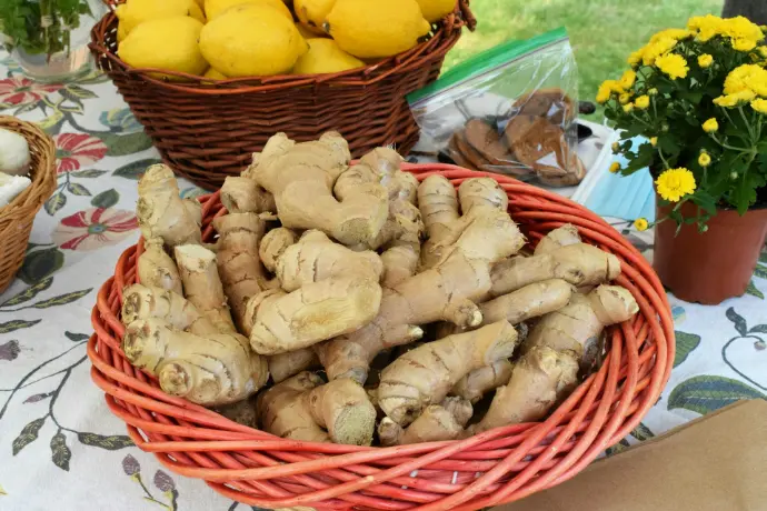 Ginger Oleoresins