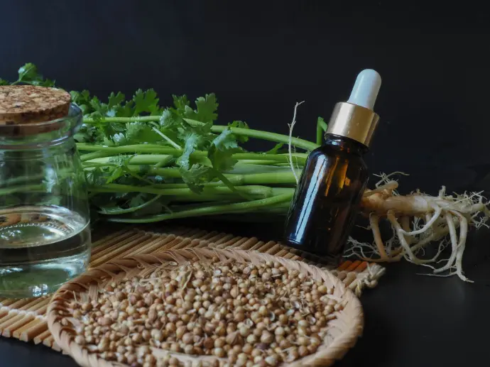 Coriander Oleoresin