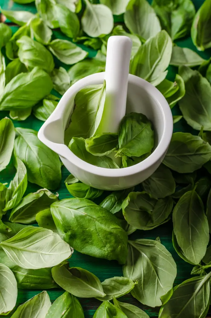 Basil Oil