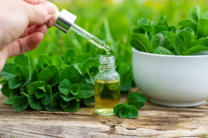 Spearmint Oil