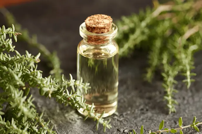 Thyme Oil