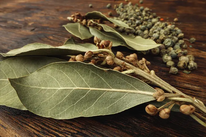 Bayleaf Oleoresins